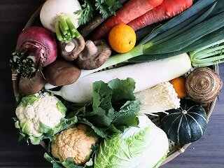 冬野菜での栄養パワー！写真