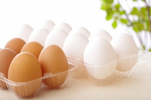 品薄が続く…鶏卵の栄養について写真